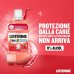 Listerine Smart Rinse Collutorio Bambini - Senza alcol formulato per bambini dai 6 anni - Gusto frutti rossi - 500 ml Listerine Smart Rinse Collutorio Bambini - Senza alcol formulato per bambini dai 6 anni - Gusto frutti rossi - 500 ml