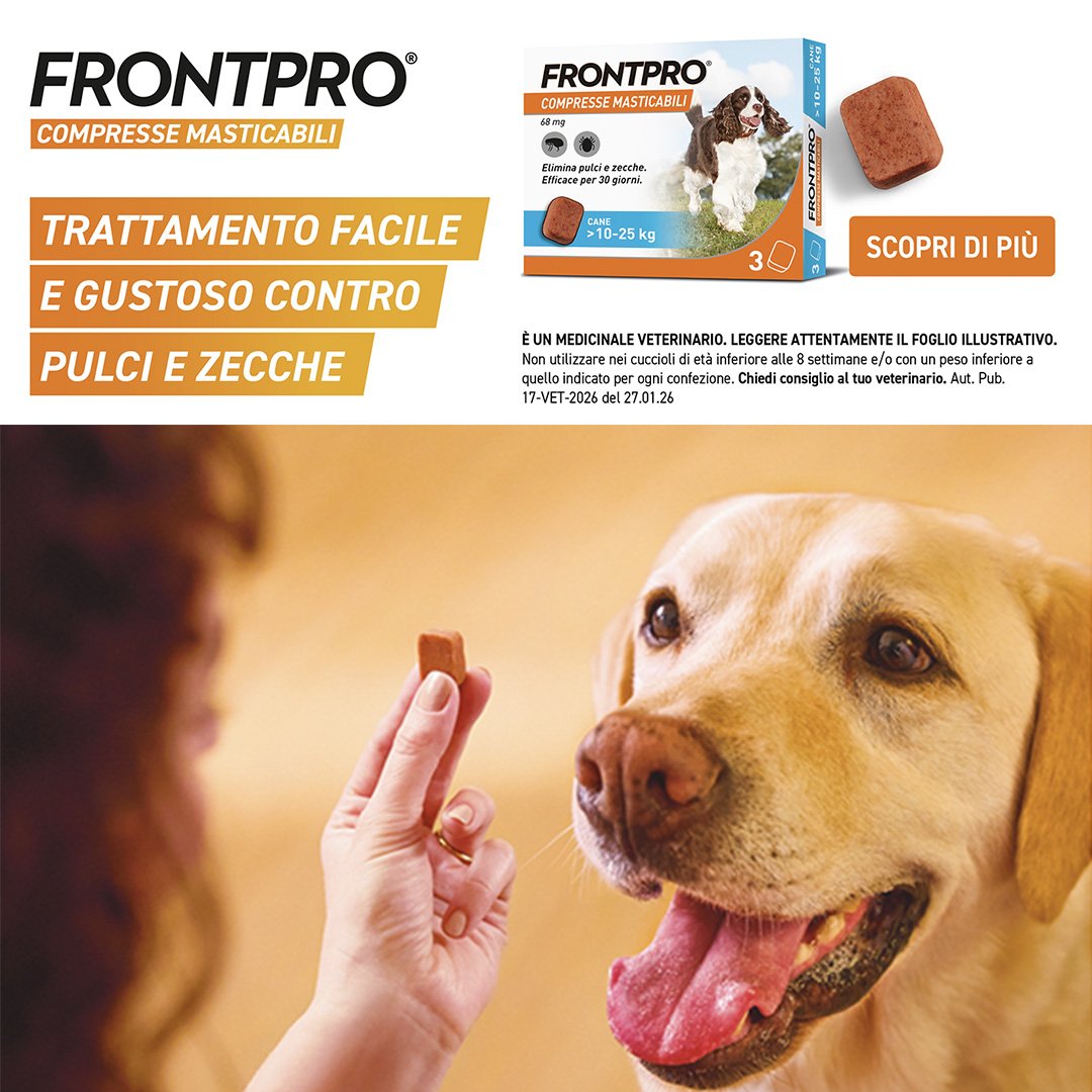 frontpro