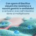 Enterogermina 2 Miliardi - Equilibrio della flora batterica intestinale - 20 flaconcini da 5 ml