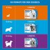 Frontline Spot On Cani da 20 a 40 kg - Pipette antiparassitarie per cani grandi Contro Pulci, Zecche E Pidocchi - 3 pipette