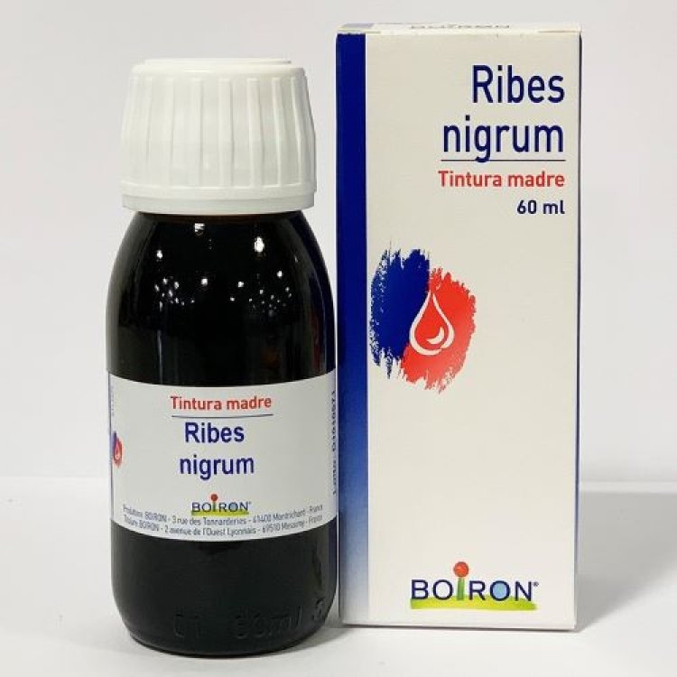 BO.RIBES NIGRUM TM  60ml