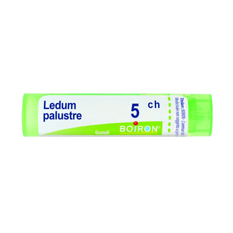 BO.LEDUM PALUSTRE Tubo 5CH BO.LEDUM PALUSTRE Tubo 5CH