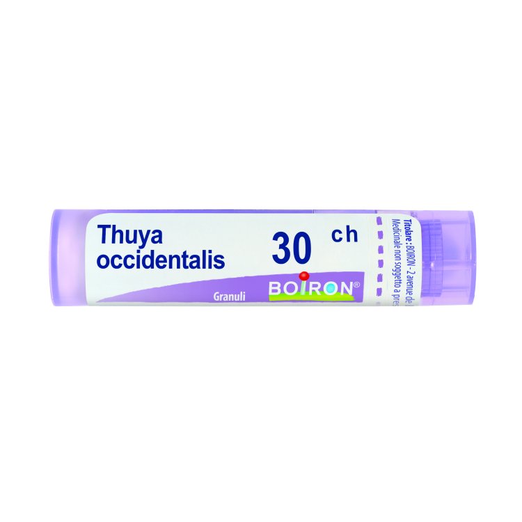 BO.THUYA OCC.Tubo 30CH