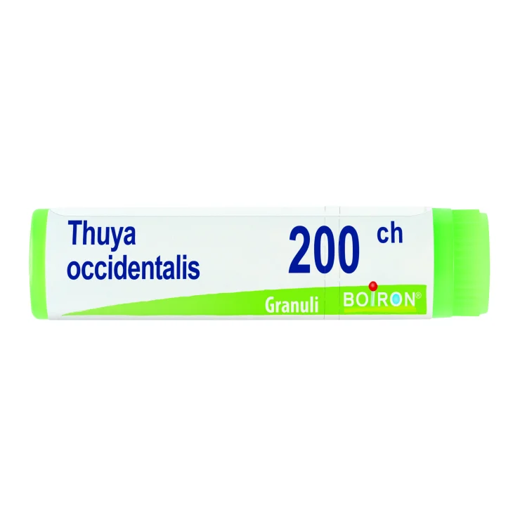 BO.THUYA OCC.Dose  200CH
