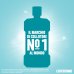 Listerine Coolmint Collutorio Zero Alcol - Antiplacca e alito fresco - Gusto delicato - 500 ml