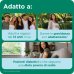 Dulcosoft Go - Lassativo Delicato con Macrogol 4000 per stitichezza e intestino pigro - 20 stick
