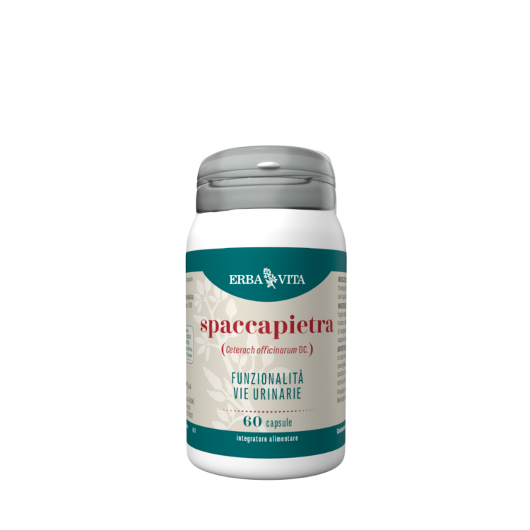 Spaccapietra Erba Vita - Integratore alimentare drenante per il benessere delle vie urinarie - 60 Capsule