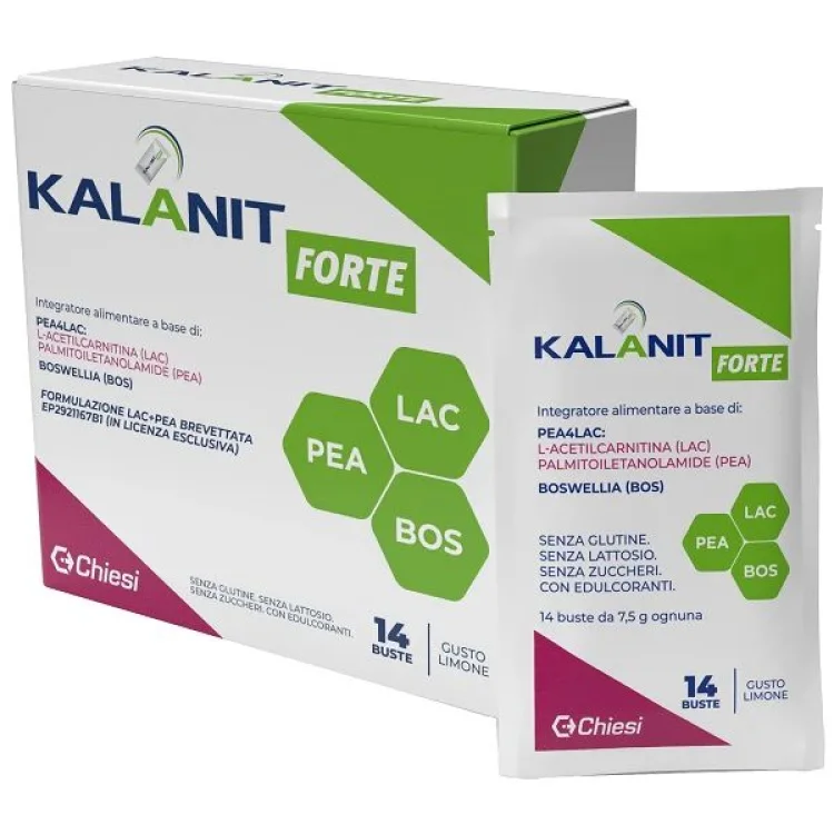 KALANIT Forte 14 Bust.