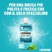 Listerine Coolmint Collutorio - Antiplacca e alito fresco con olii essenziali antibatterici - 500 ml