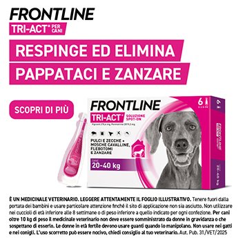 Banner Frontline