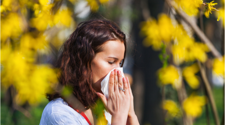 Allergie primaverili, antistaminici e sonnolenza: cosa c'è da sapere