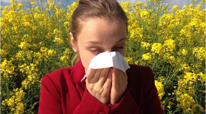 Febbre da fieno. Come difendersi dalle allergie.