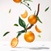Roger & Gallet Bois D'orange Saponetta - Saponetta energizzante con estratto d'arancia - 100 g