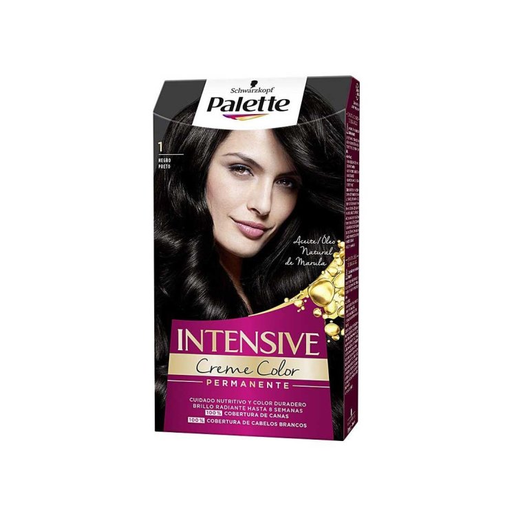 PALETTE INTENSIVE 1,0 NERO