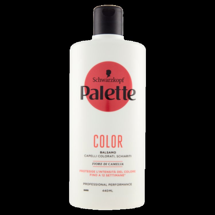 PALETTE NEW BALSAMO COLOR 440 ML PALETTE NEW BALSAMO COLOR 440 ML