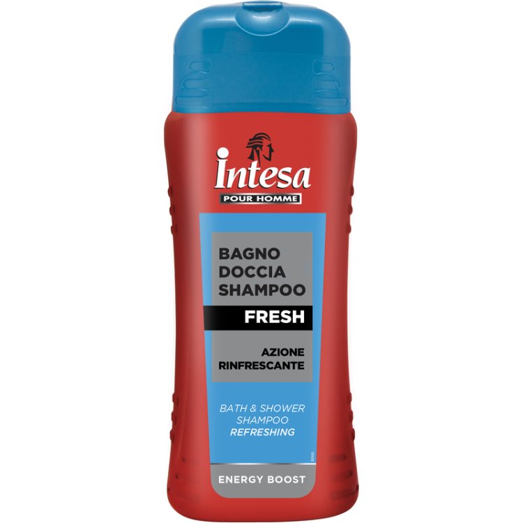 INTESA B/D SHAMPOO FRESH 500 ML