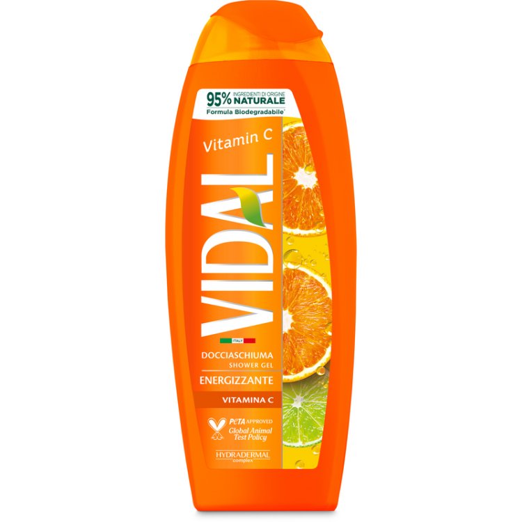 VIDAL NEW D/S VITAMINA C 250 ML