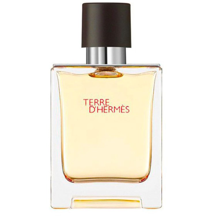 HERMES TERRE EDT 50 VAPO