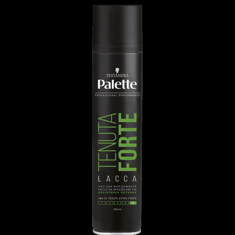 PALETTE SPRAY TENUTA FORTE 300 ML