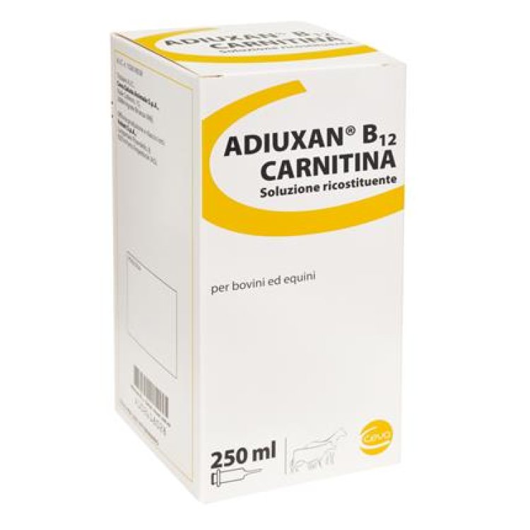 ADIUXAN B12 Carnitina Flacone 250ml