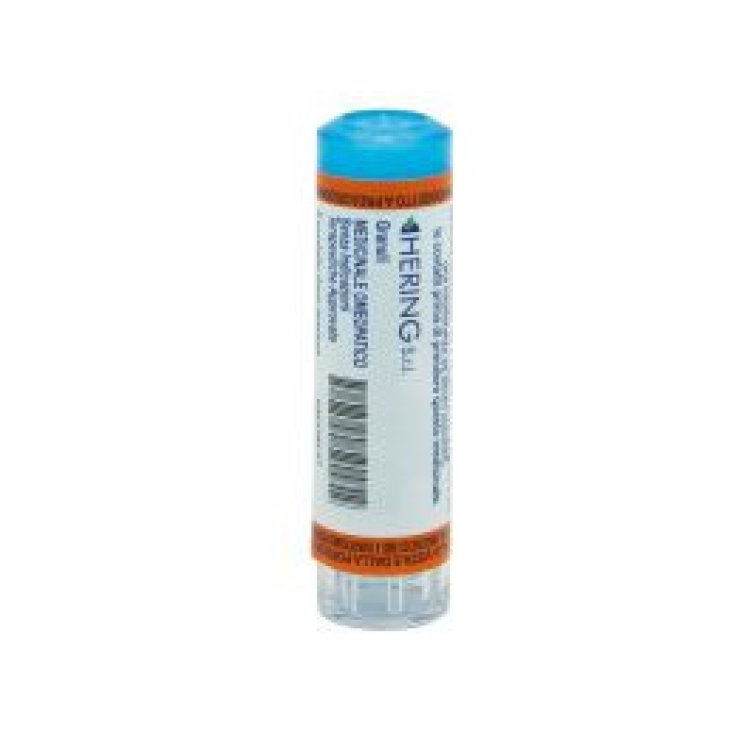 Hering Alumina 9 CH Granuli Multidose Medicinale Omeopatico 80GR