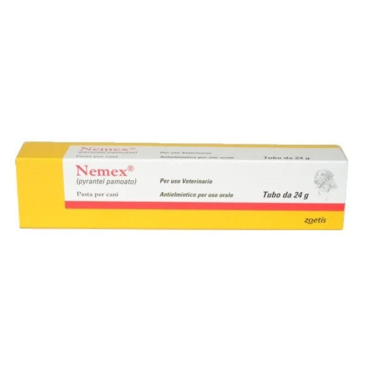 Nemex Pasta Orale per Cani Antielmintico Ascaridi e Ancilostomi 24 g Nemex Pasta Orale per Cani Antielmintico Ascaridi e Ancilostomi 24 g