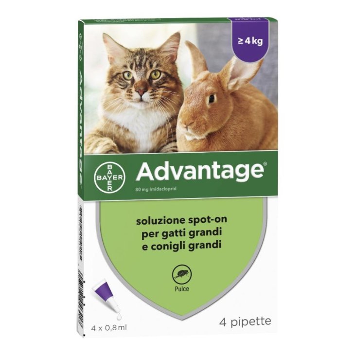 Advantage Spot-On Gatti e Conigli Grandi Antiparassitario 4 Pipette