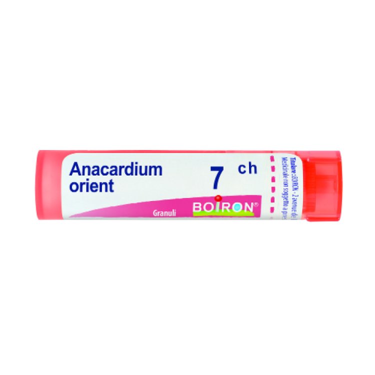Boiron Anacardium Orientale 7CH Granuli Omeopatici 4 g Boiron Anacardium Orientale 7CH Granuli Omeopatici 4 g