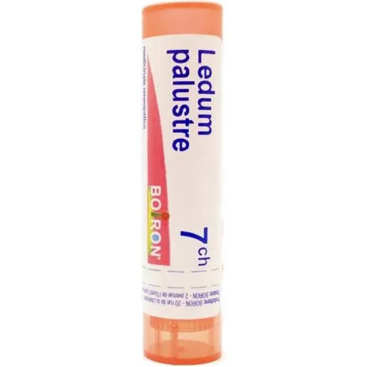 Boiron Ledum Palustre 7CH Granuli Omeopatici 4g Boiron Ledum Palustre 7CH Granuli Omeopatici 4g
