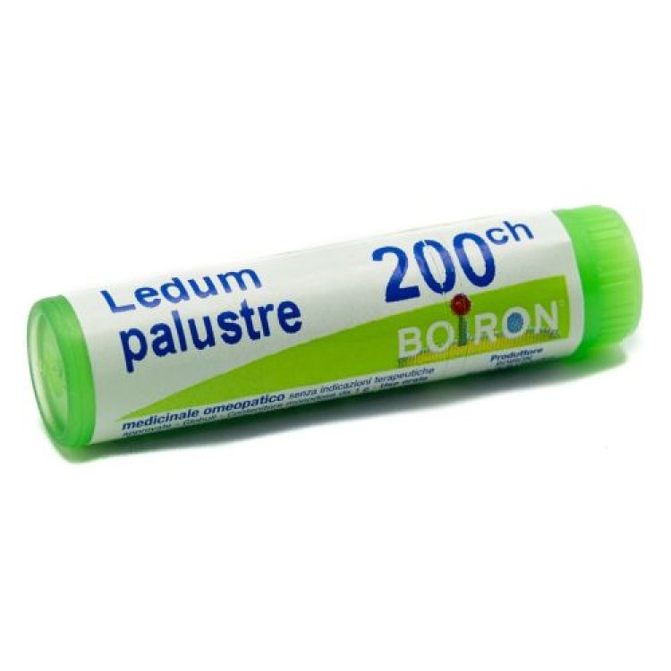 Boiron Ledum Palustre 200CH Globuli Omeopatici per Zanzare in Tubo Monodose