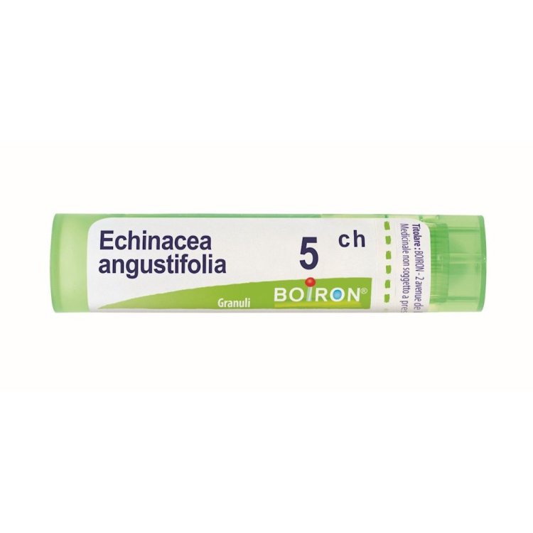 Boiron Echinacea Angustifolia 5CH Granuli Omeopatici da 4g