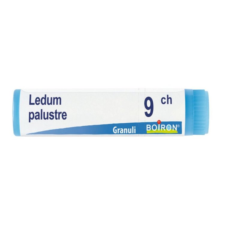 Boiron Ledum Palustre 9CH Globuli Omeopatici da 1 g