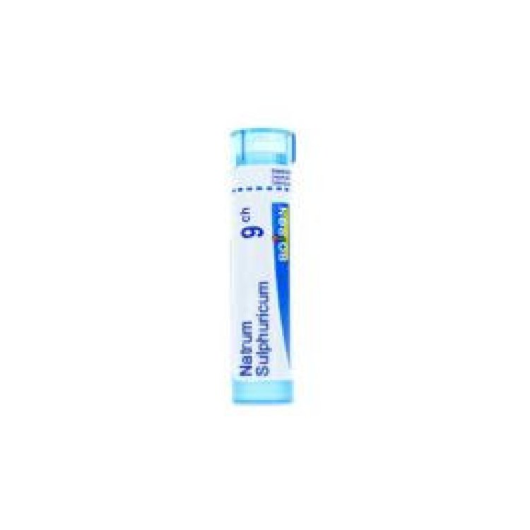 Boiron Natrum Sulfur 9CH Globuli Omeopatico 1 g