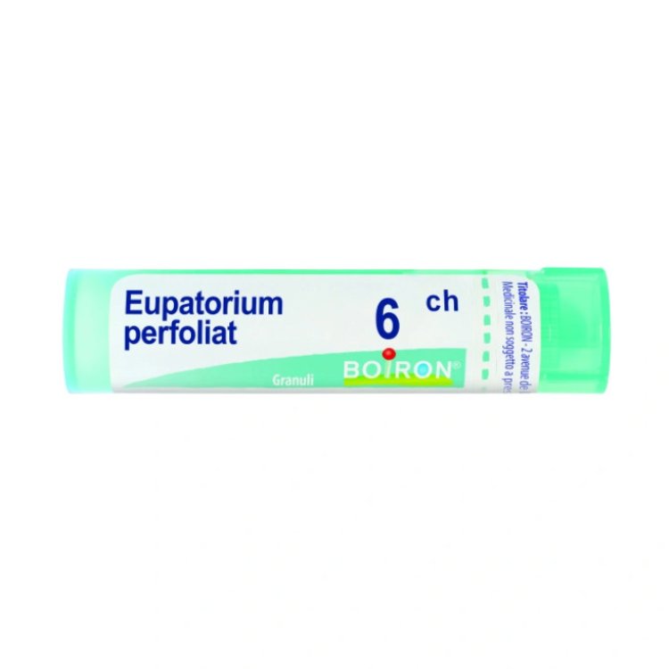 Boiron Eupatorium Perfoliat 6CH Granuli Omeopatici