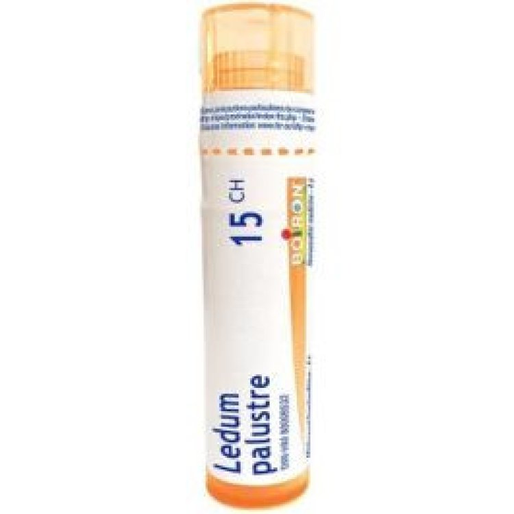 Boiron Ledum Palustre 15CH Granuli Omeopatici per Traumi 4 g Boiron Ledum Palustre 15CH Granuli Omeopatici per Traumi 4 g