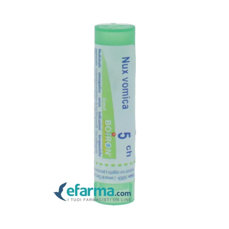 Boiron Berberis Vulgaris 6CH Granuli Tubo Omeopatico in Flacone Boiron Berberis Vulgaris 6CH Granuli Tubo Omeopatico in Flacone