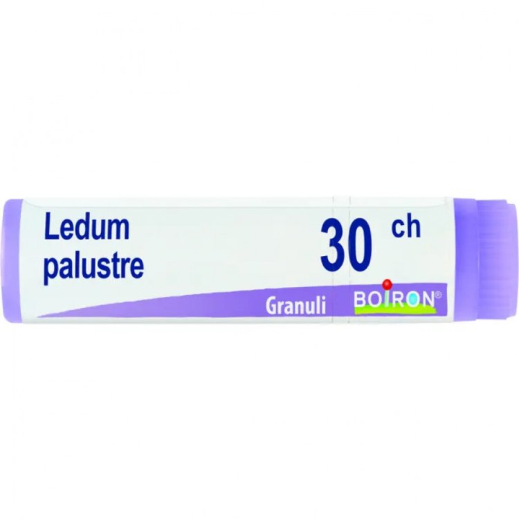 Boiron Ledum Palustre 30CH Globuli Omeopatico Boiron Ledum Palustre 30CH Globuli Omeopatico