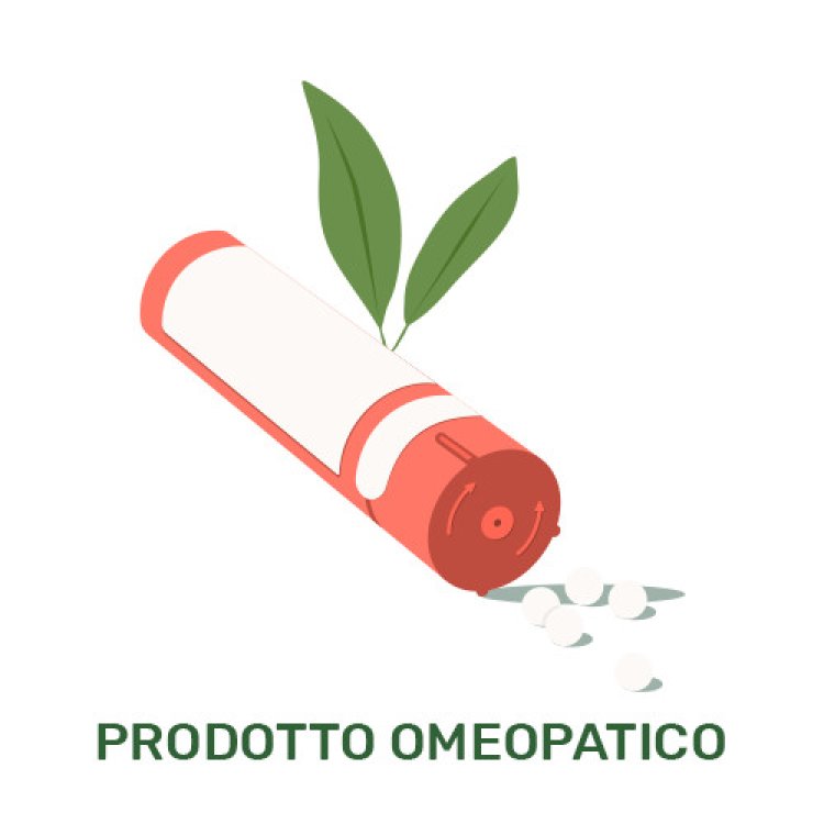 Lindas Scorevis Gtt Vis Omeopatico 30ml Lindas Scorevis Gtt Vis Omeopatico 30ml
