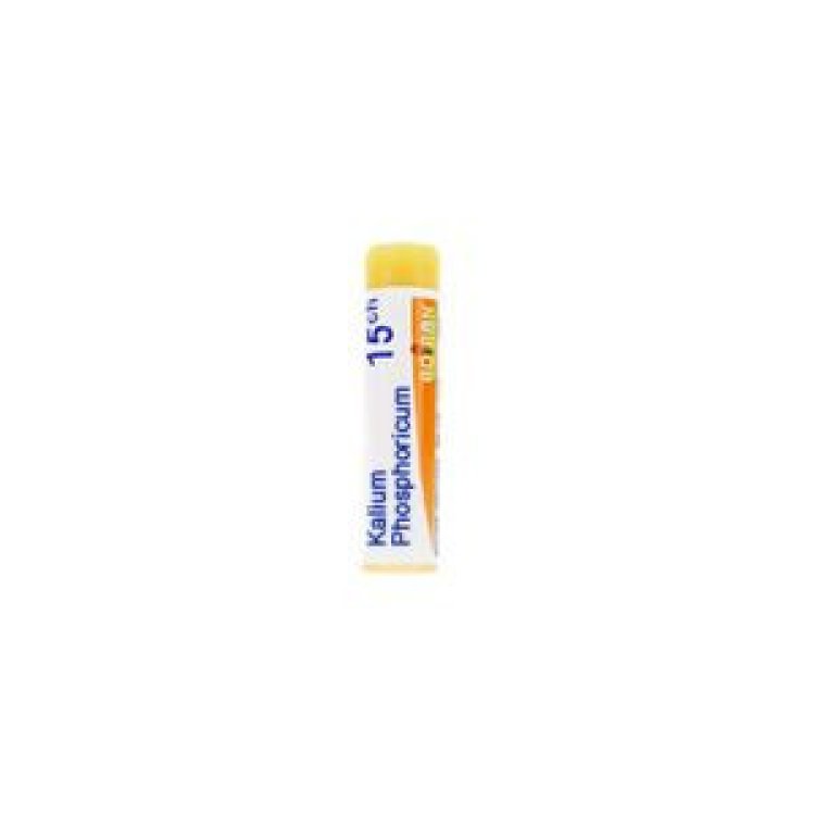 Boiron Kalium Phosph XMK Omeopatico in Granuli 1 g