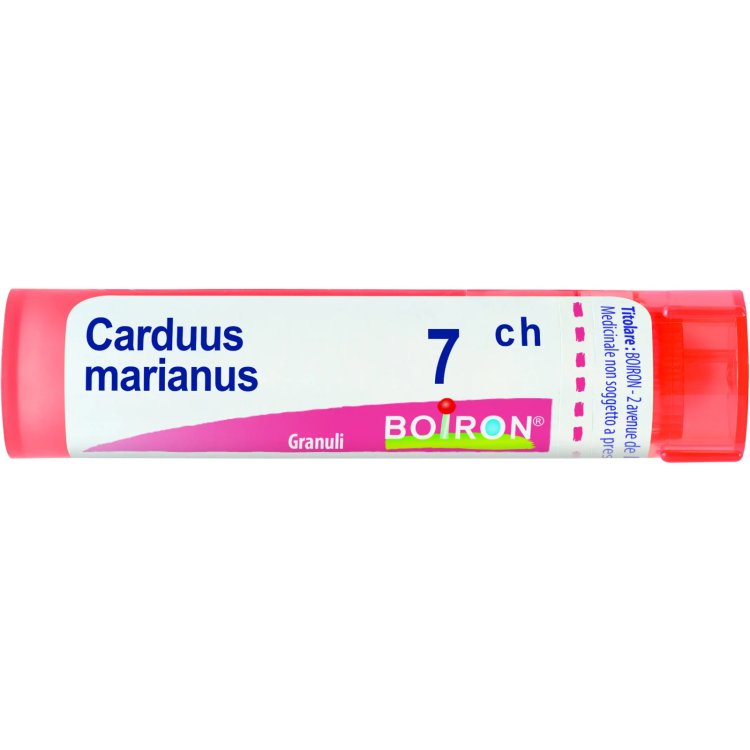 Boiron Carduus Marianus 7CH Granuli Omeopatici 4g Boiron Carduus Marianus 7CH Granuli Omeopatici 4g
