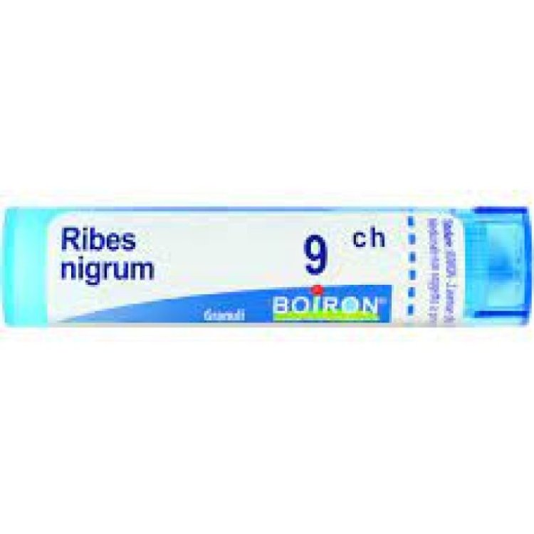 Boiron Ribes Nigrum 9CH Granuli Omeopatici tubo da 4g
