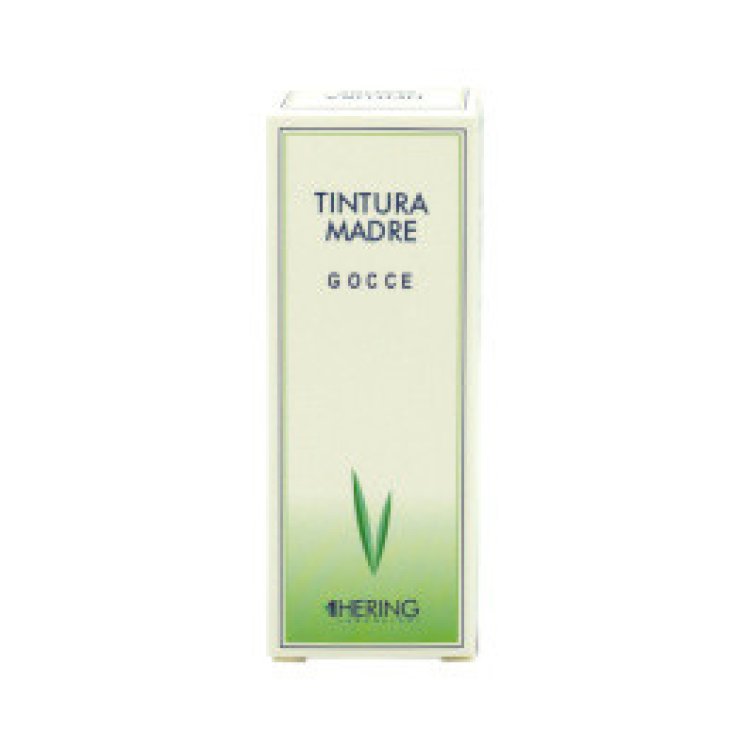 Hering Ribes Nigrum Tintura Madre Parafarmaco 125ml