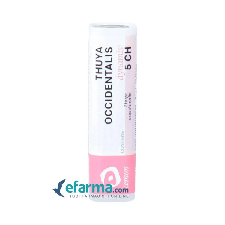 Hering Conium Maculatum 30CH Granuli Utile per Vertigini Senza Glutine