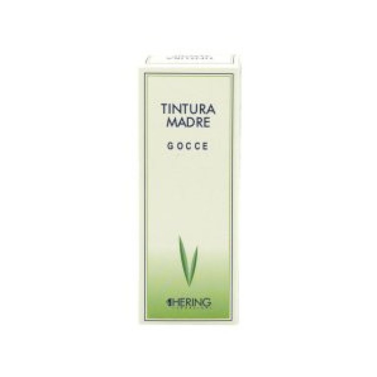 Hering Srl Thuya Occ Gtt 015LM medicinale omeopatico in gocce da 30ml