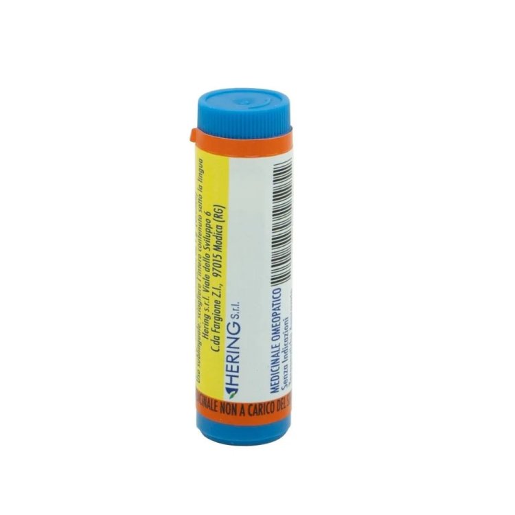 Hering Thuya Occidentalis Gocce Omeopatiche 60LM 30ml Hering Thuya Occidentalis Gocce Omeopatiche 60LM 30ml