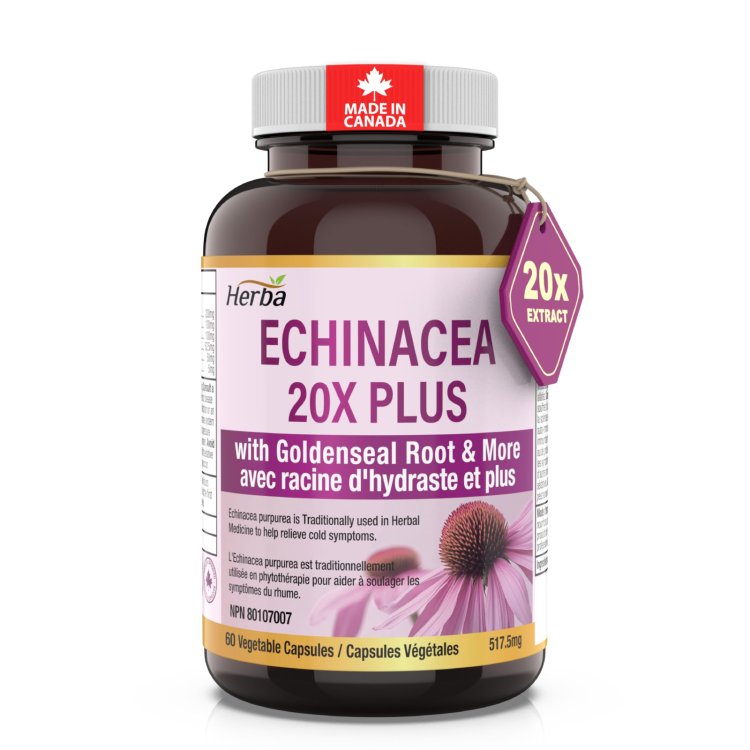 Hering Echinacea Gr 200K