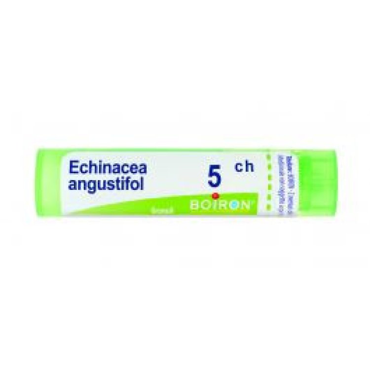 Hering Echinacea Granuli 50000K