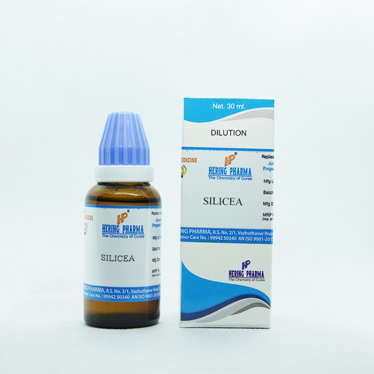 Hering He.Silicea Gl 050Lm Omeopatico in Globuli