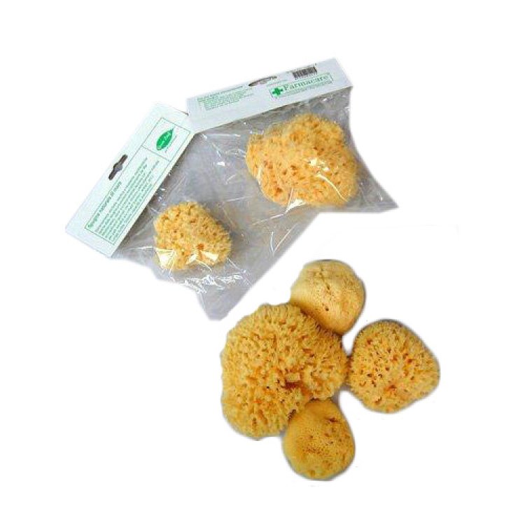 Farmacare Spugna Naturale di Mare Fori Larghi N. 7 per Pelli Sensibili Farmacare Spugna Naturale di Mare Fori Larghi N. 7 per Pelli Sensibili