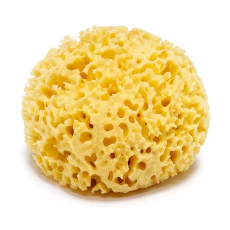 Farmacare Spugna Naturale di Mare Fori Larghi 12-13 cm per Pelli Sensibili Farmacare Spugna Naturale di Mare Fori Larghi 12-13 cm per Pelli Sensibili